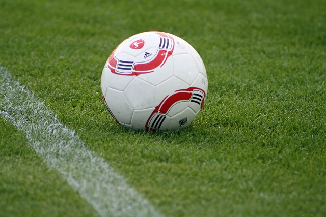 月入队皇马 月入队皇马