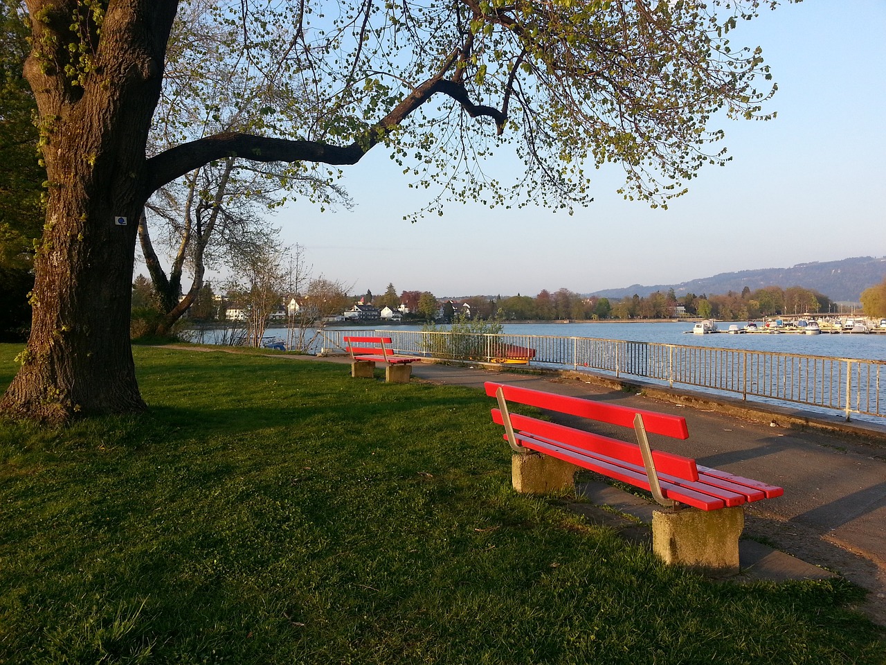 需要同时考 需要同时考