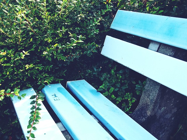 术和创意性 术和创意性